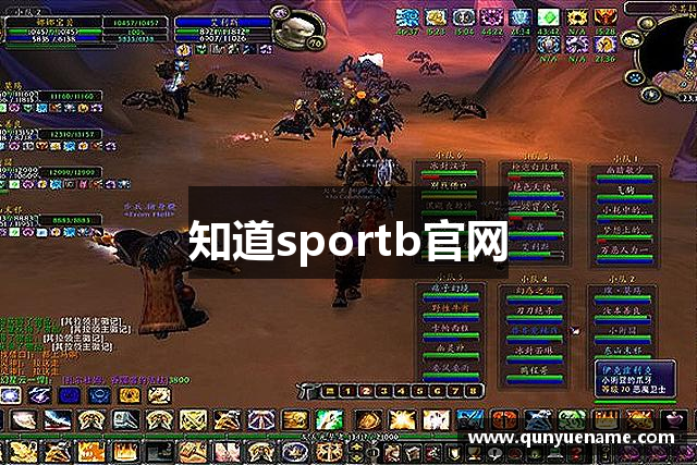 知道sportb官网